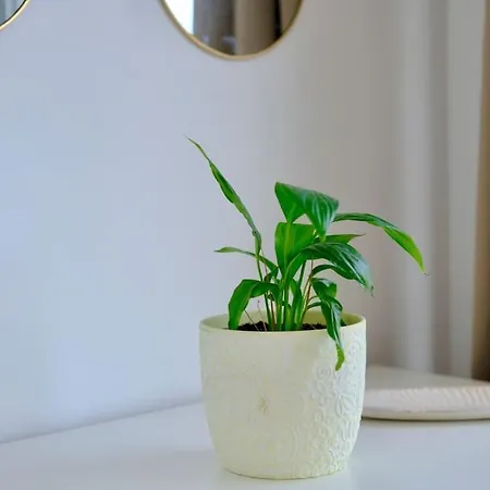 Hypercentre - Seine En Vue Apartamento *